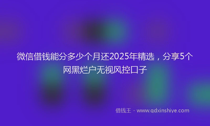 微信借钱能分多少个月还2025年精选，分享5个网黑烂户无视风控口子
