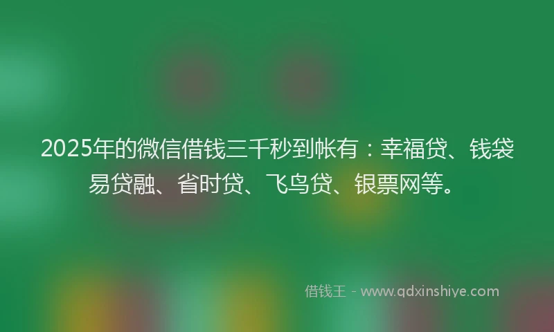2025年的微信借钱三千秒到帐有：幸福贷、钱袋易贷融、省时贷、飞鸟贷、银票网等。