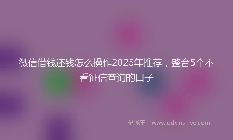 微信借钱还钱怎么操作2025年推荐，整合5个不看征信查询的口子