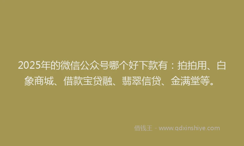 2025年的微信公众号哪个好下款有：拍拍用、白象商城、借款宝贷融、翡翠信贷、金满堂等。