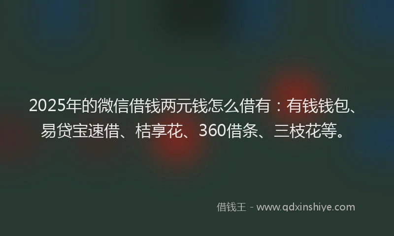 2025年的微信借钱两元钱怎么借有：有钱钱包、易贷宝速借、桔享花、360借条、三枝花等。