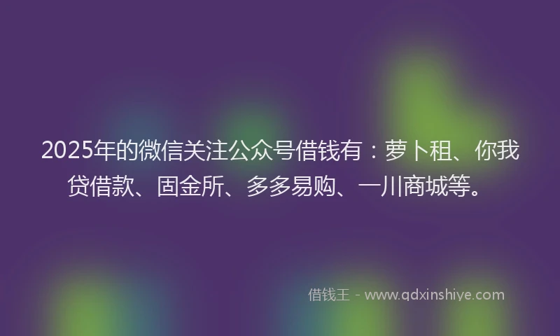 2025年的微信关注公众号借钱有：萝卜租、你我贷借款、固金所、多多易购、一川商城等。