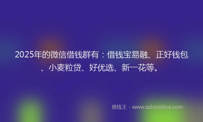 2025年的微信借钱群有：借钱宝易融、正好钱包、小麦粒贷、好优选、新一花等。