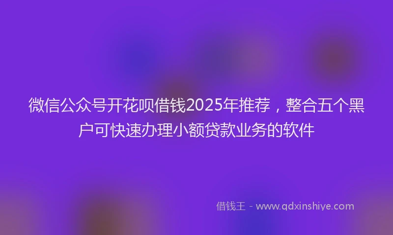 微信公众号开花呗借钱2025年推荐，整合五个黑户可快速办理小额贷款业务的软件