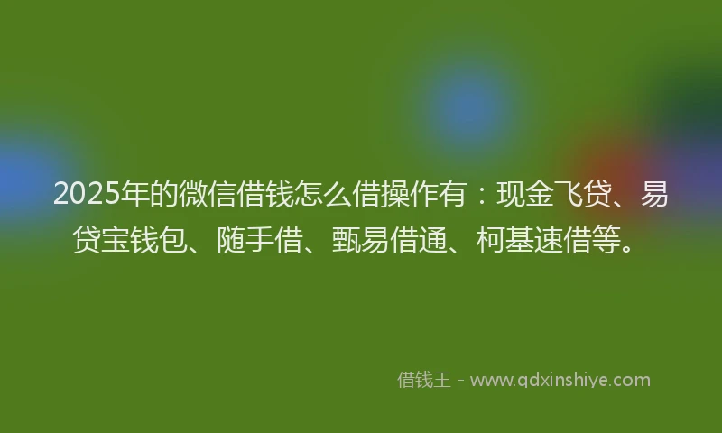 2025年的微信借钱怎么借操作有：现金飞贷、易贷宝钱包、随手借、甄易借通、柯基速借等。
