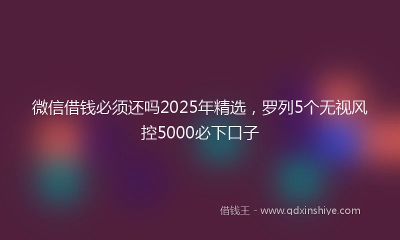 微信借钱必须还吗2025年精选，罗列5个无视风控5000必下口子