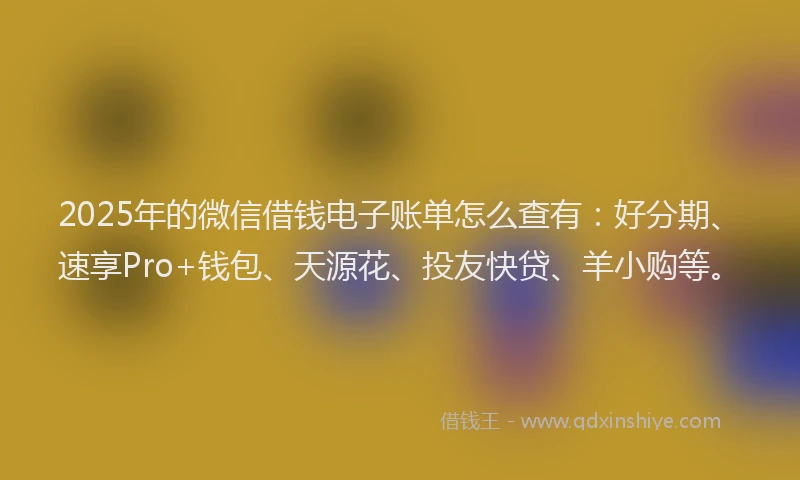 2025年的微信借钱电子账单怎么查有：好分期、速享Pro+钱包、天源花、投友快贷、羊小购等。