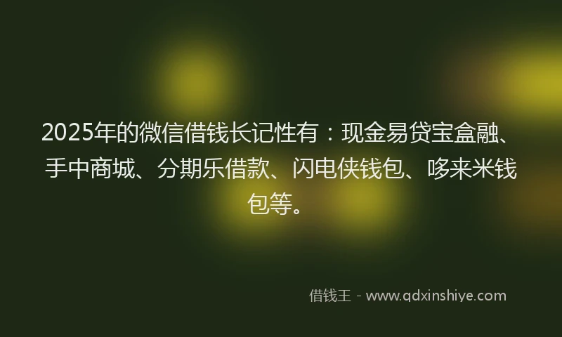2025年的微信借钱长记性有：现金易贷宝盒融、手中商城、分期乐借款、闪电侠钱包、哆来米钱包等。
