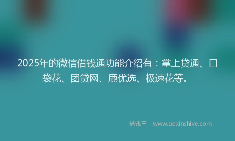2025年的微信借钱通功能介绍有：掌上贷通、口袋花、团贷网、鹿优选、极速花等。
