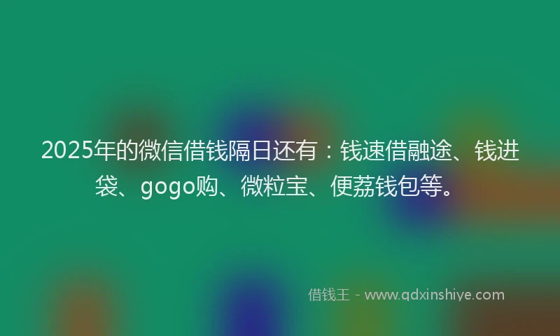 2025年的微信借钱隔日还有：钱速借融途、钱进袋、gogo购、微粒宝、便荔钱包等。
