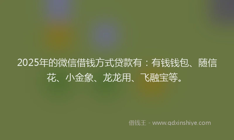 2025年的微信借钱方式贷款有：有钱钱包、随信花、小金象、龙龙用、飞融宝等。