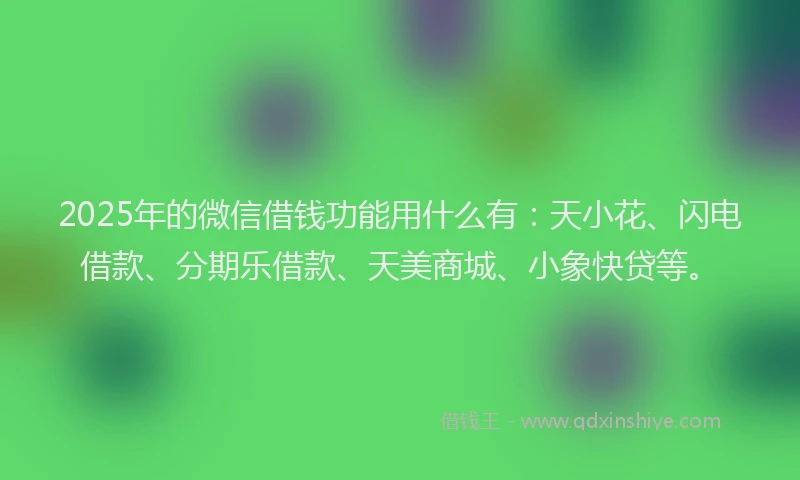 2025年的微信借钱功能用什么有：天小花、闪电借款、分期乐借款、天美商城、小象快贷等。