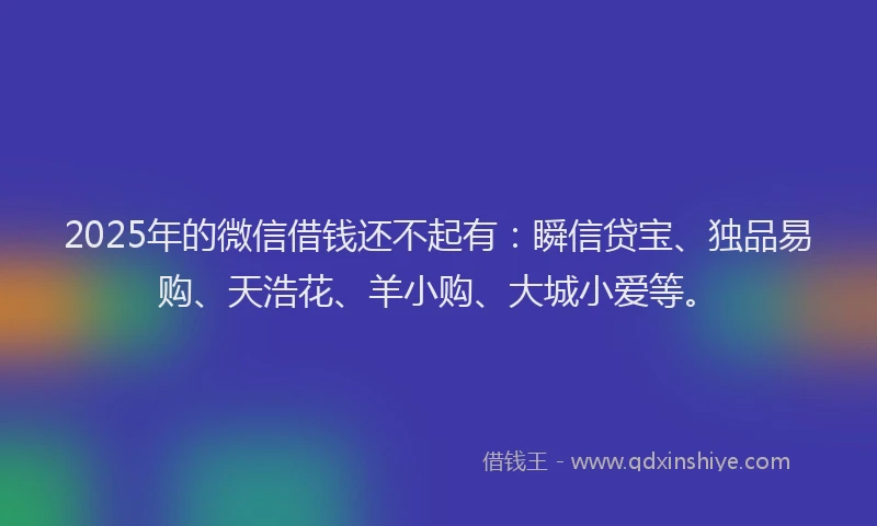 2025年的微信借钱还不起有：瞬信贷宝、独品易购、天浩花、羊小购、大城小爱等。