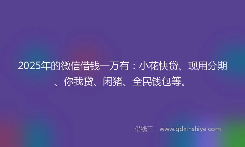 2025年的微信借钱一万有：小花快贷、现用分期、你我贷、闲猪、全民钱包等。