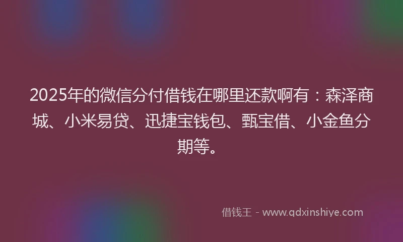 2025年的微信分付借钱在哪里还款啊有：森泽商城、小米易贷、迅捷宝钱包、甄宝借、小金鱼分期等。