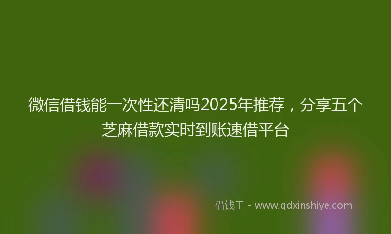 微信借钱能一次性还清吗2025年推荐，分享五个芝麻借款实时到账速借平台