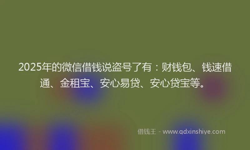 2025年的微信借钱说盗号了有：财钱包、钱速借通、金租宝、安心易贷、安心贷宝等。