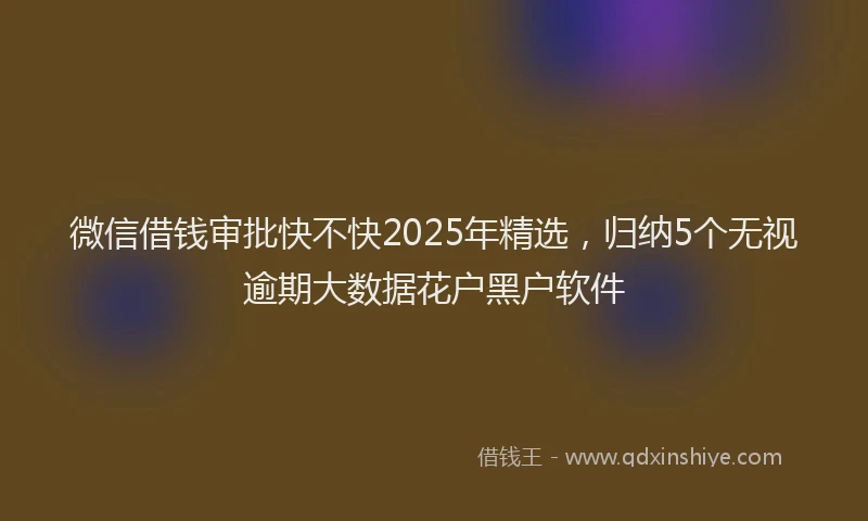 微信借钱审批快不快2025年精选，归纳5个无视逾期大数据花户黑户软件