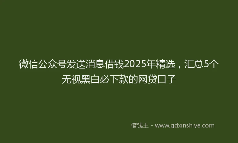 微信公众号发送消息借钱2025年精选，汇总5个无视黑白必下款的网贷口子
