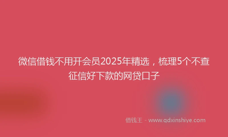 微信借钱不用开会员2025年精选，梳理5个不查征信好下款的网贷口子