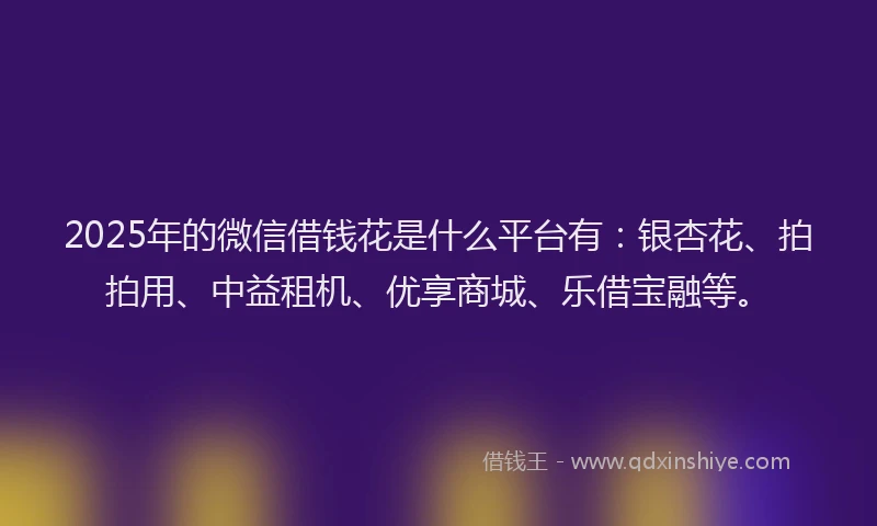 2025年的微信借钱花是什么平台有：银杏花、拍拍用、中益租机、优享商城、乐借宝融等。