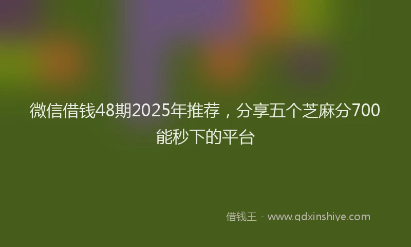 微信借钱48期2025年推荐，分享五个芝麻分700能秒下的平台
