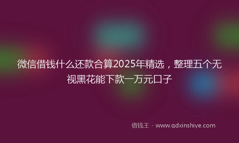 微信借钱什么还款合算2025年精选，整理五个无视黑花能下款一万元口子