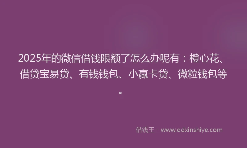 2025年的微信借钱限额了怎么办呢有：橙心花、借贷宝易贷、有钱钱包、小赢卡贷、微粒钱包等。
