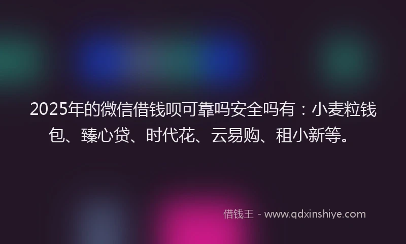 2025年的微信借钱呗可靠吗安全吗有：小麦粒钱包、臻心贷、时代花、云易购、租小新等。