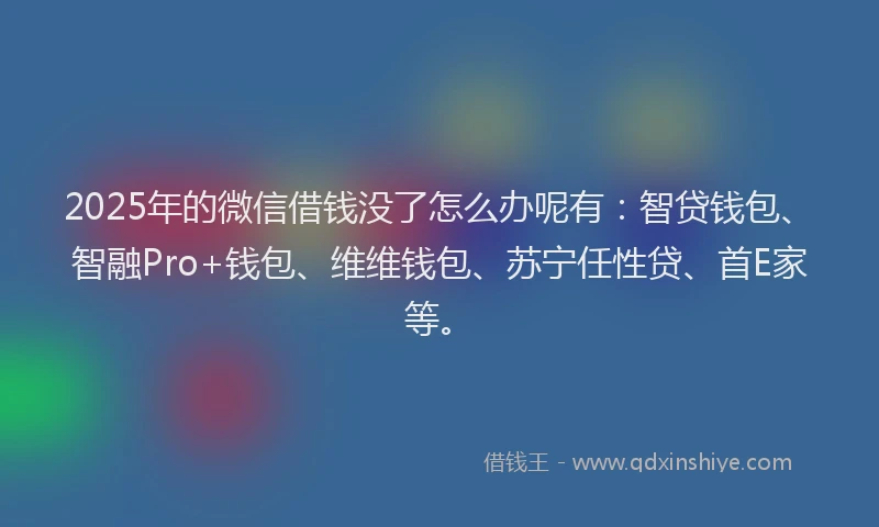 2025年的微信借钱没了怎么办呢有：智贷钱包、智融Pro+钱包、维维钱包、苏宁任性贷、首E家等。