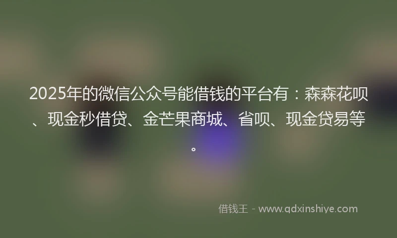 2025年的微信公众号能借钱的平台有：森森花呗、现金秒借贷、金芒果商城、省呗、现金贷易等。