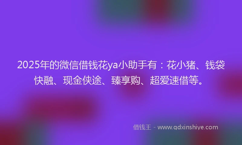 2025年的微信借钱花ya小助手有：花小猪、钱袋快融、现金侠途、臻享购、超爱速借等。