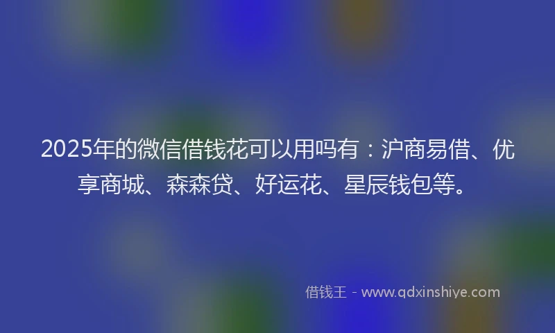 2025年的微信借钱花可以用吗有：沪商易借、优享商城、森森贷、好运花、星辰钱包等。