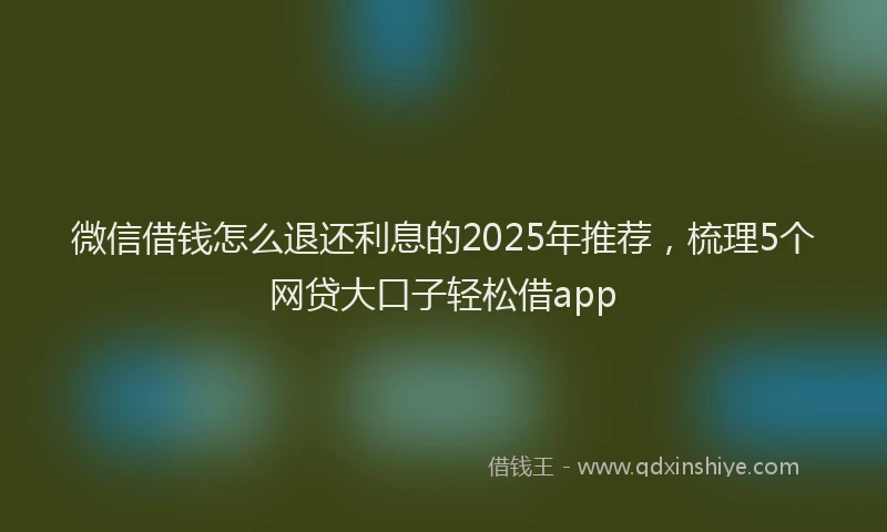 微信借钱怎么退还利息的2025年推荐，梳理5个网贷大口子轻松借app