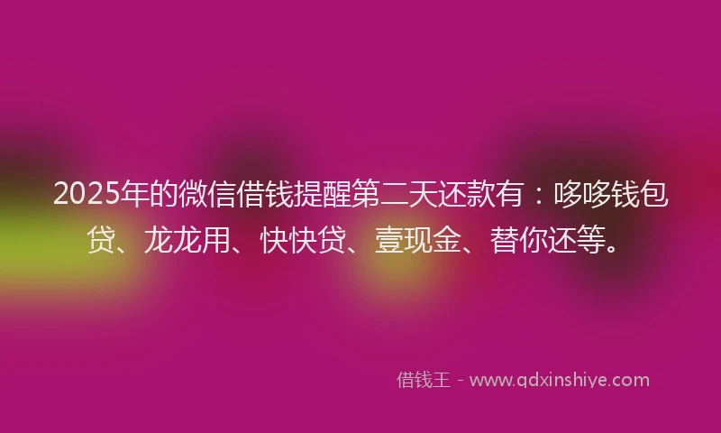 2025年的微信借钱提醒第二天还款有：哆哆钱包贷、龙龙用、快快贷、壹现金、替你还等。