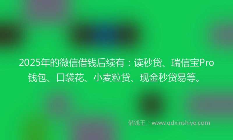 2025年的微信借钱后续有：读秒贷、瑞信宝Pro钱包、口袋花、小麦粒贷、现金秒贷易等。