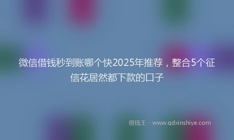 微信借钱秒到账哪个快2025年推荐，整合5个征信花居然都下款的口子