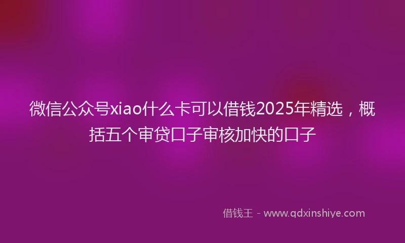 微信公众号xiao什么卡可以借钱2025年精选，概括五个审贷口子审核加快的口子