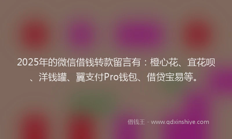 2025年的微信借钱转款留言有：橙心花、宜花呗、洋钱罐、翼支付Pro钱包、借贷宝易等。
