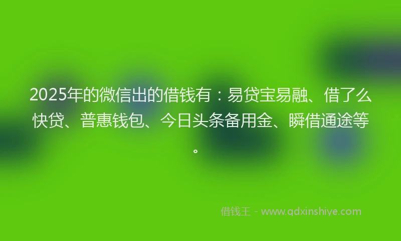 2025年的微信出的借钱有：易贷宝易融、借了么快贷、普惠钱包、今日头条备用金、瞬借通途等。