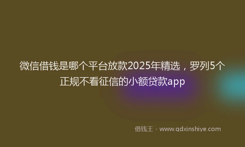 微信借钱是哪个平台放款2025年精选，罗列5个正规不看征信的小额贷款app