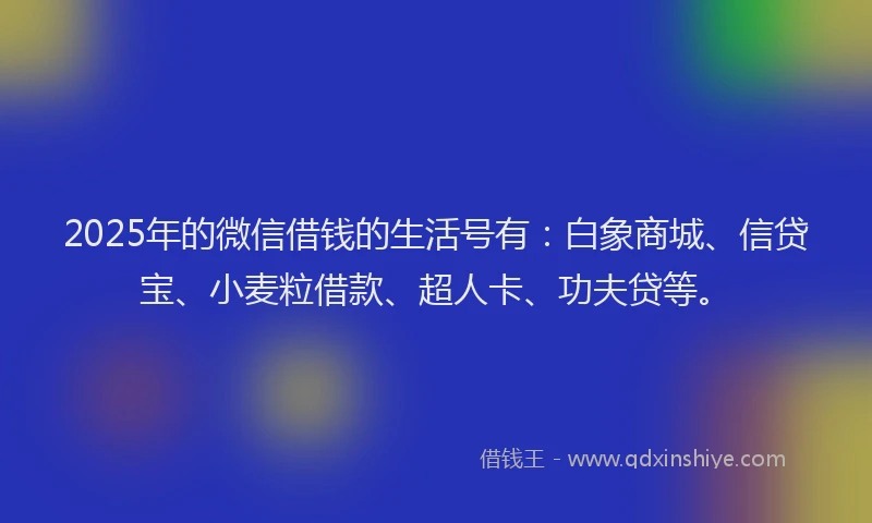 2025年的微信借钱的生活号有：白象商城、信贷宝、小麦粒借款、超人卡、功夫贷等。
