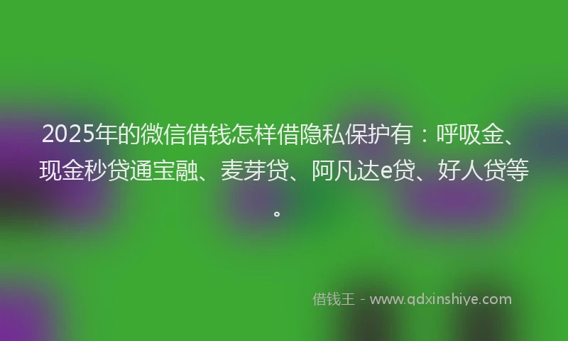 2025年的微信借钱怎样借隐私保护有：呼吸金、现金秒贷通宝融、麦芽贷、阿凡达e贷、好人贷等。