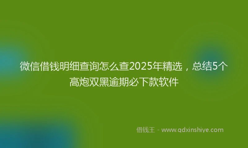 微信借钱明细查询怎么查2025年精选，总结5个高炮双黑逾期必下款软件