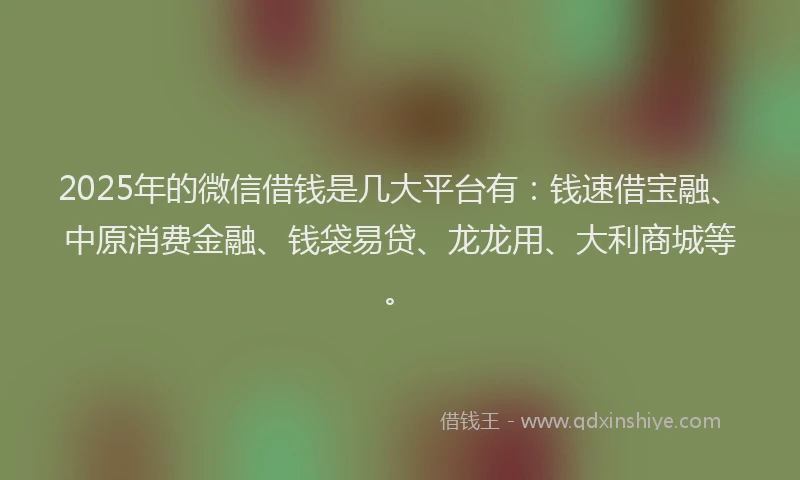 2025年的微信借钱是几大平台有：钱速借宝融、中原消费金融、钱袋易贷、龙龙用、大利商城等。