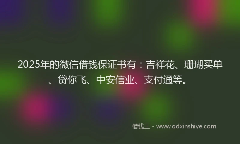 2025年的微信借钱保证书有：吉祥花、珊瑚买单、贷你飞、中安信业、支付通等。