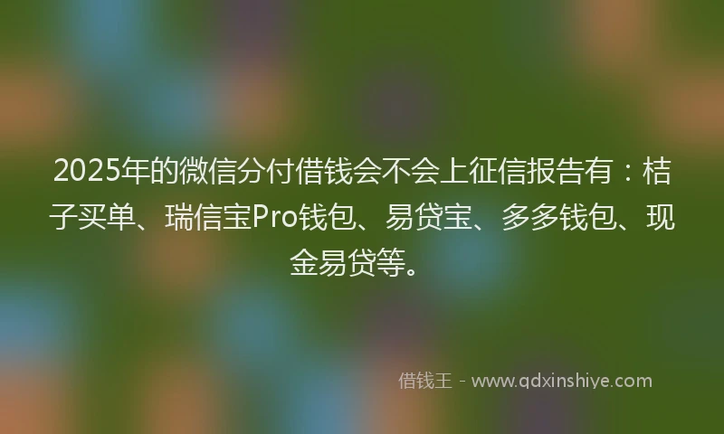2025年的微信分付借钱会不会上征信报告有：桔子买单、瑞信宝Pro钱包、易贷宝、多多钱包、现金易贷等。