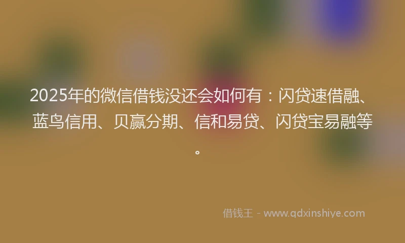 2025年的微信借钱没还会如何有：闪贷速借融、蓝鸟信用、贝赢分期、信和易贷、闪贷宝易融等。