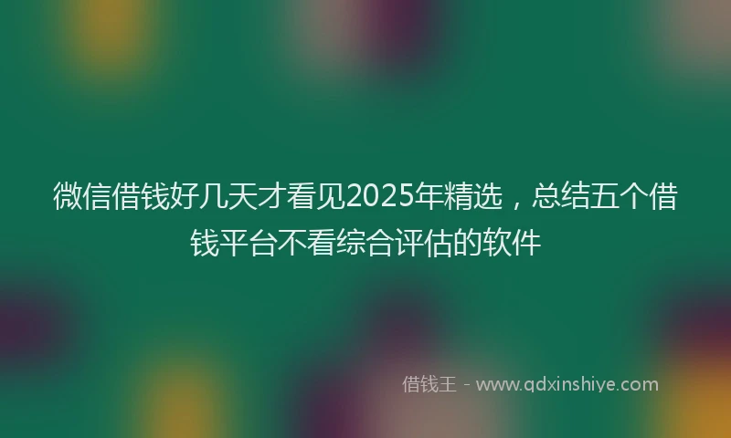 微信借钱好几天才看见2025年精选，总结五个借钱平台不看综合评估的软件