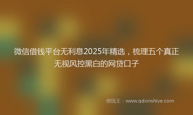 微信借钱平台无利息2025年精选，梳理五个真正无视风控黑白的网贷口子